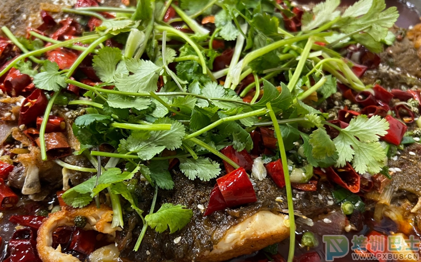 烤鱼制作技术详解：从食材选择到美味呈现